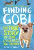 Cover image of Finding Gobi