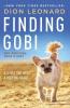 Cover image of Finding Gobi