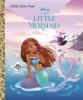 Cover image of The little mermaid