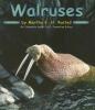 Cover image of Walruses