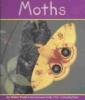 Cover image of Moths