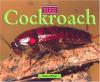 Cover image of Cockroach