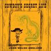 Cover image of Cowboy's secret life