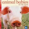 Cover image of Animal babies on the farm