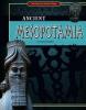 Cover image of Mesopotamia