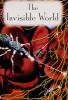 Cover image of The Invisible World