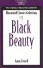 Cover image of Black Beauty