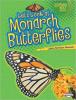 Cover image of Let's look at monarch butterflies