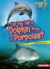 Cover image of Can you tell a dolphin from a porpoise?