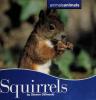 Cover image of Squirrels