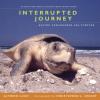 Cover image of Interrupted journey