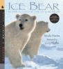 Cover image of Ice bear