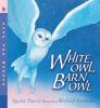 Cover image of White owl, barn owl