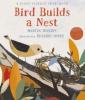 Cover image of Bird builds a nest