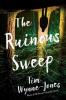 Cover image of The ruinous sweep