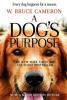 Cover image of A dog's purpose