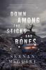 Cover image of Down among the sticks and bones