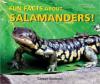 Cover image of Fun facts about salamanders!