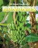 Cover image of Bananas