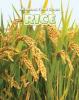 Cover image of Rice