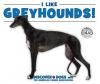 Cover image of I like greyhounds!