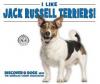 Cover image of I like Jack Russell terriers!