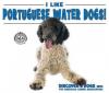 Cover image of I like Portuguese water dogs!