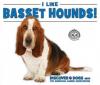 Cover image of I like basset hounds!