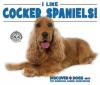 Cover image of I like cocker spaniels!