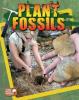 Cover image of Plant fossils