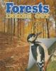 Cover image of Forests inside out