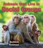 Cover image of Animals that live in social groups