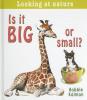 Cover image of Is it big or small?