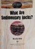 Cover image of What are sedimentary rocks?