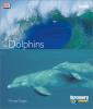 Cover image of Dolphins