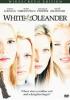 Cover image of White oleander