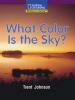 Cover image of What Color is the Sky?