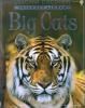 Cover image of Big cats