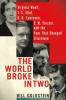 Cover image of The world broke in two