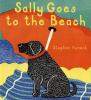 Cover image of Sally goes to the beach