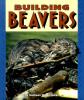 Cover image of Building beavers
