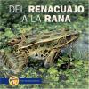 Cover image of Del renacuajo a la rana