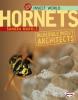 Cover image of Hornets