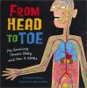 Cover image of From head to toe