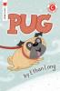 Cover image of Pug