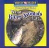 Cover image of What river animals eat