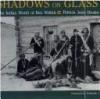 Cover image of Shadows on glass