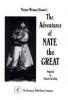 Cover image of The adventures of Nate the Great