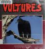 Cover image of Vultures