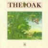 Cover image of The oak